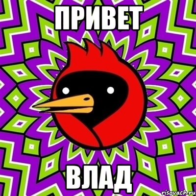 привет влад, Мем Омская птица