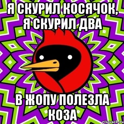 Я скурил косячок, я скурил два в жопу полезла коза, Мем Омская птица