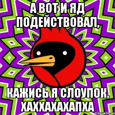 а вот и ЯД подействовал, кажись Я слоупок, хаххахахапха, Мем Омская птица