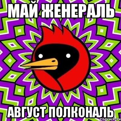 Май женераль Август полкональ, Мем Омская птица