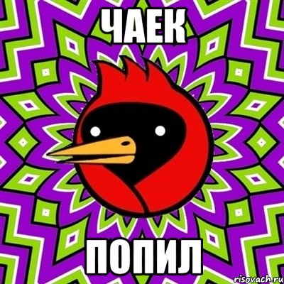 чаек попил, Мем Омская птица