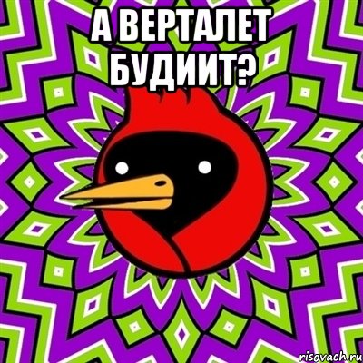 А верталет будиит? , Мем Омская птица
