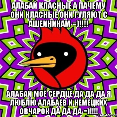 алабай класные а пачему они класные они гуляют с ашеиникам =)!!!! алабай моё сердце да да да я люблю алабаев и немецких овчарок да да да =)!!!!, Мем Омская птица