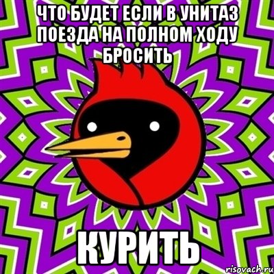 что будет если в унитаз поезда на полном ходу бросить курить, Мем Омская птица