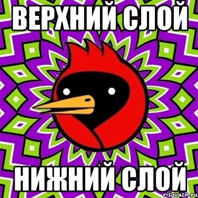 верхний слой нижний слой, Мем Омская птица