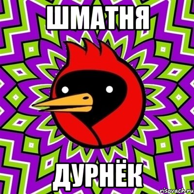 Шматня Дурнёк, Мем Омская птица