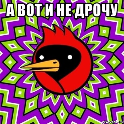 А вот и не дрочу , Мем Омская птица