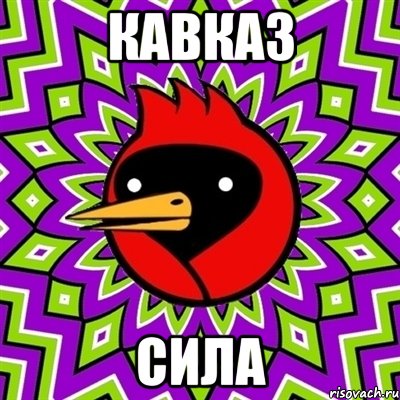 КАВКАЗ СИЛА, Мем Омская птица
