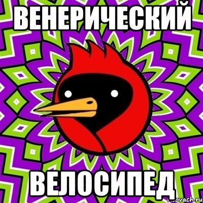 ВЕНЕРИЧЕСКИЙ ВЕЛОСИПЕД, Мем Омская птица