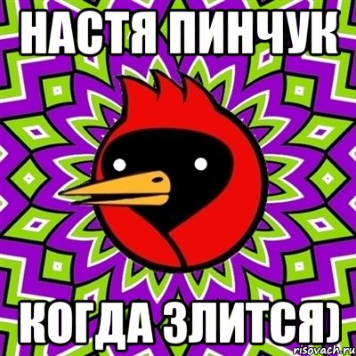 Настя Пинчук Когда злится), Мем Омская птица