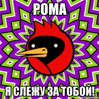 Рома Я слежу за тобой!, Мем Омская птица