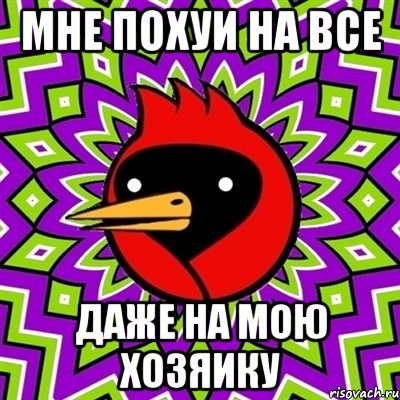 Мне похуи на все Даже на мою хозяику, Мем Омская птица