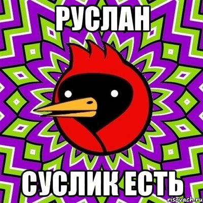 руслан суслик есть, Мем Омская птица