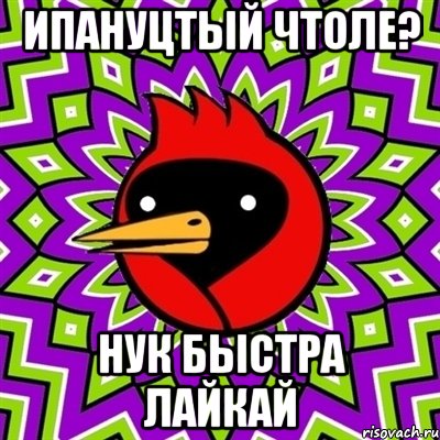 Ипануцтый чтоле? нук быстра лайкай, Мем Омская птица