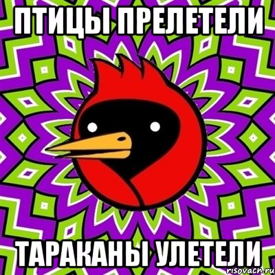 птицы прелетели тараканы улетели, Мем Омская птица