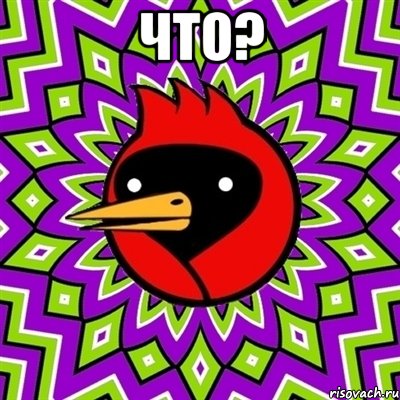 что? , Мем Омская птица