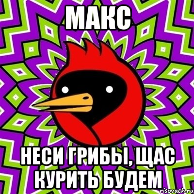 Макс Неси грибы, щас курить будем, Мем Омская птица