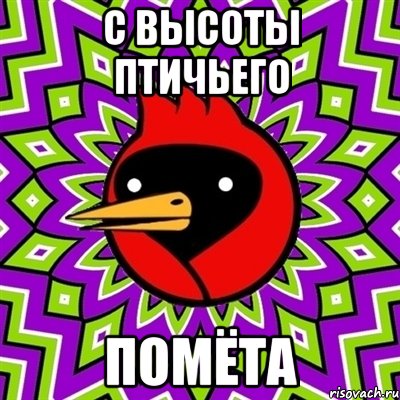 С высоты птичьего помёта, Мем Омская птица
