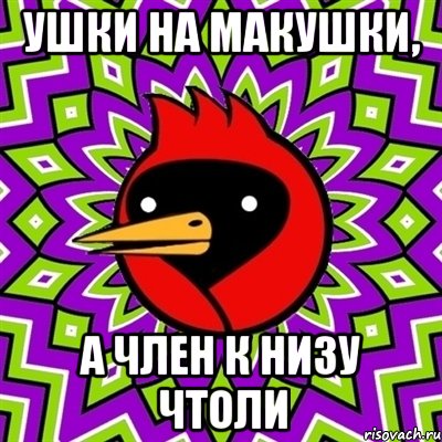 Ушки на макушки, А член к низу чтоли, Мем Омская птица