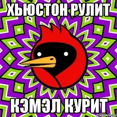 Хьюстон рулит Кэмэл курит, Мем Омская птица