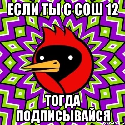 если ты с сош 12 тогда подписывайся, Мем Омская птица