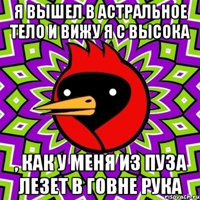 Я вышел в астральное тело и вижу я с высока , как у меня из пуза лезет в говне рука, Мем Омская птица