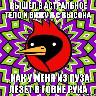 Вышел в астральное тело и вижу я с высока , как у меня из пуза лезет в говне рука, Мем Омская птица