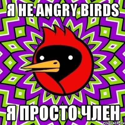 Я не angry birds Я просто член, Мем Омская птица