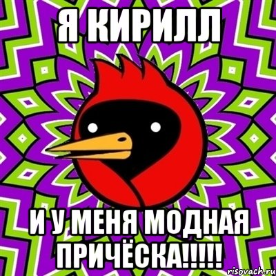 Я КИРИЛЛ И У МЕНЯ МОДНАЯ ПРИЧЁСКА!!!!!, Мем Омская птица