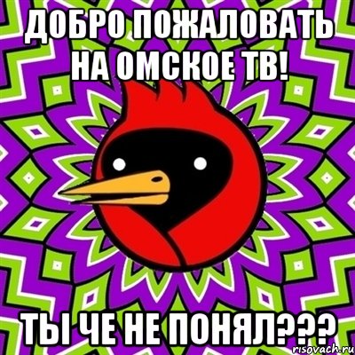 Добро пожаловать на Омское тв! Ты че не понял???, Мем Омская птица