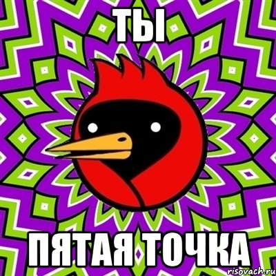 ты пятая точка, Мем Омская птица