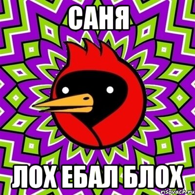 саня лох ебал блох, Мем Омская птица