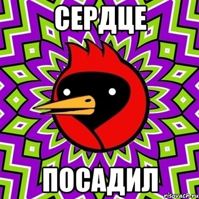 сердце посадил, Мем Омская птица
