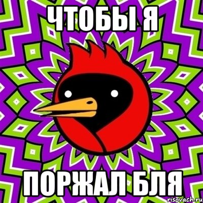 чтобы я Поржал бля, Мем Омская птица
