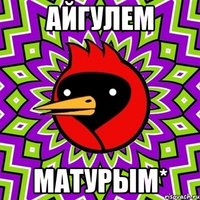 Айгулем матурым*, Мем Омская птица
