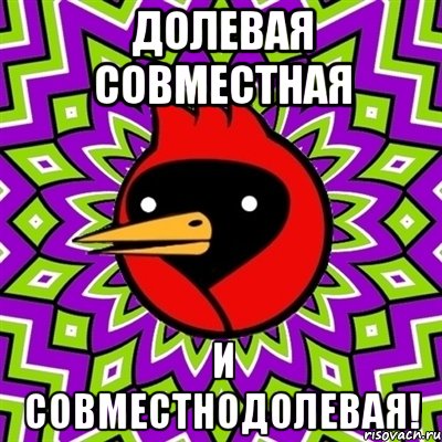 Долевая совместная И совместнодолевая!, Мем Омская птица