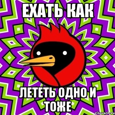 ехать как лететь одно и тоже, Мем Омская птица
