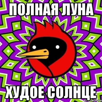 Полная Луна Худое Солнце, Мем Омская птица