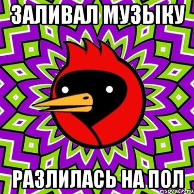 Заливал музыку Разлилась на пол, Мем Омская птица
