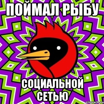 поймал рыбу социальной сетью, Мем Омская птица