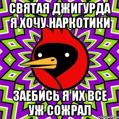 Святая джигурда я хочу наркотики Заебись я их все уж сожрал, Мем Омская птица