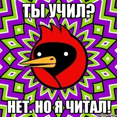 ты учил? нет. но я читал!, Мем Омская птица