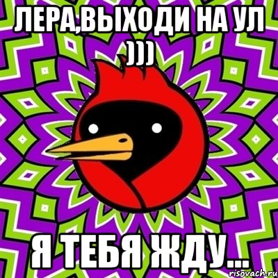 Лера,выходи на ул ))) Я тебя жду..., Мем Омская птица