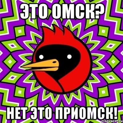 Это омск? Нет это приомск!, Мем Омская птица