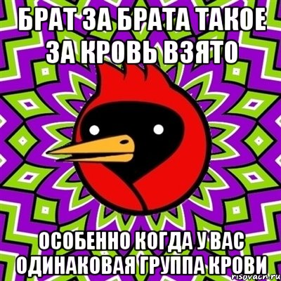 БРАТ ЗА БРАТА ТАКОЕ ЗА КРОВЬ ВЗЯТО ОСОБЕННО КОГДА У ВАС ОДИНАКОВАЯ ГРУППА КРОВИ, Мем Омская птица