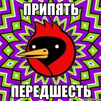 припять передшесть, Мем Омская птица