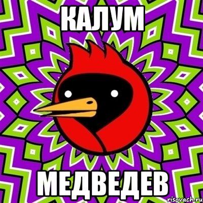 калум медведев, Мем Омская птица