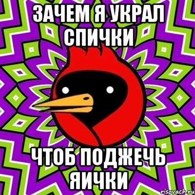 ЗАЧЕМ Я УКРАЛ СПИЧКИ ЧТОБ ПОДЖЕЧЬ Яички, Мем Омская птица