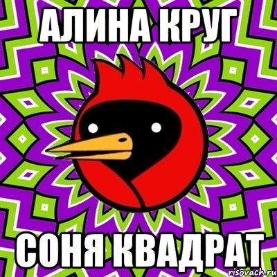 АЛИНА КРУГ СОНЯ КВАДРАТ, Мем Омская птица