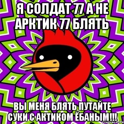 я солдат 77 а не арктик 77 блять вы меня блять путайте суки с актиком ёбаным!!!, Мем Омская птица